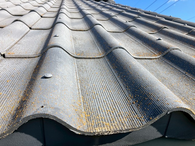 表面が劣化しカビ・苔が生えている